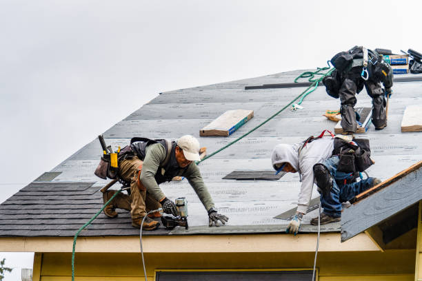 Professional Roofing technician working in Simla, CO